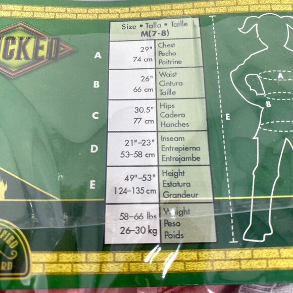 NBCUniversal Girls' Wicked the Musical Glinda Upland Shiz Classic Costume Dress - Picture 7 of 13